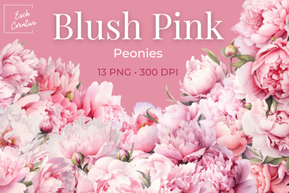 Download Blush Pink Peonies Watercolor Flowers - Peonies watercolor Collection
