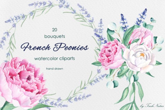 Download French Peonies Watercolor Bouquests - Peonies watercolor Collection