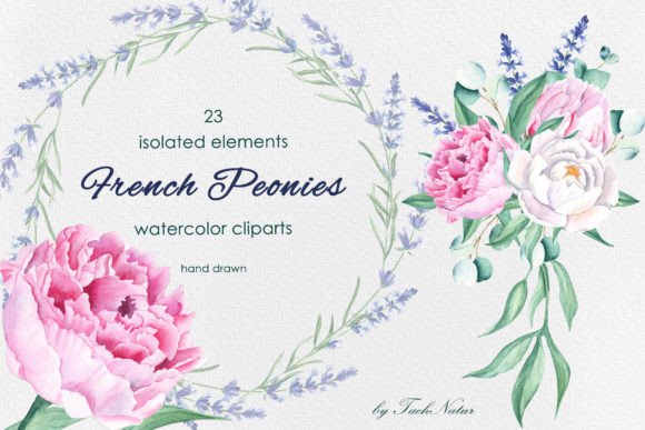 Download French Peonies Watercolor Clipart - Peonies watercolor Collection
